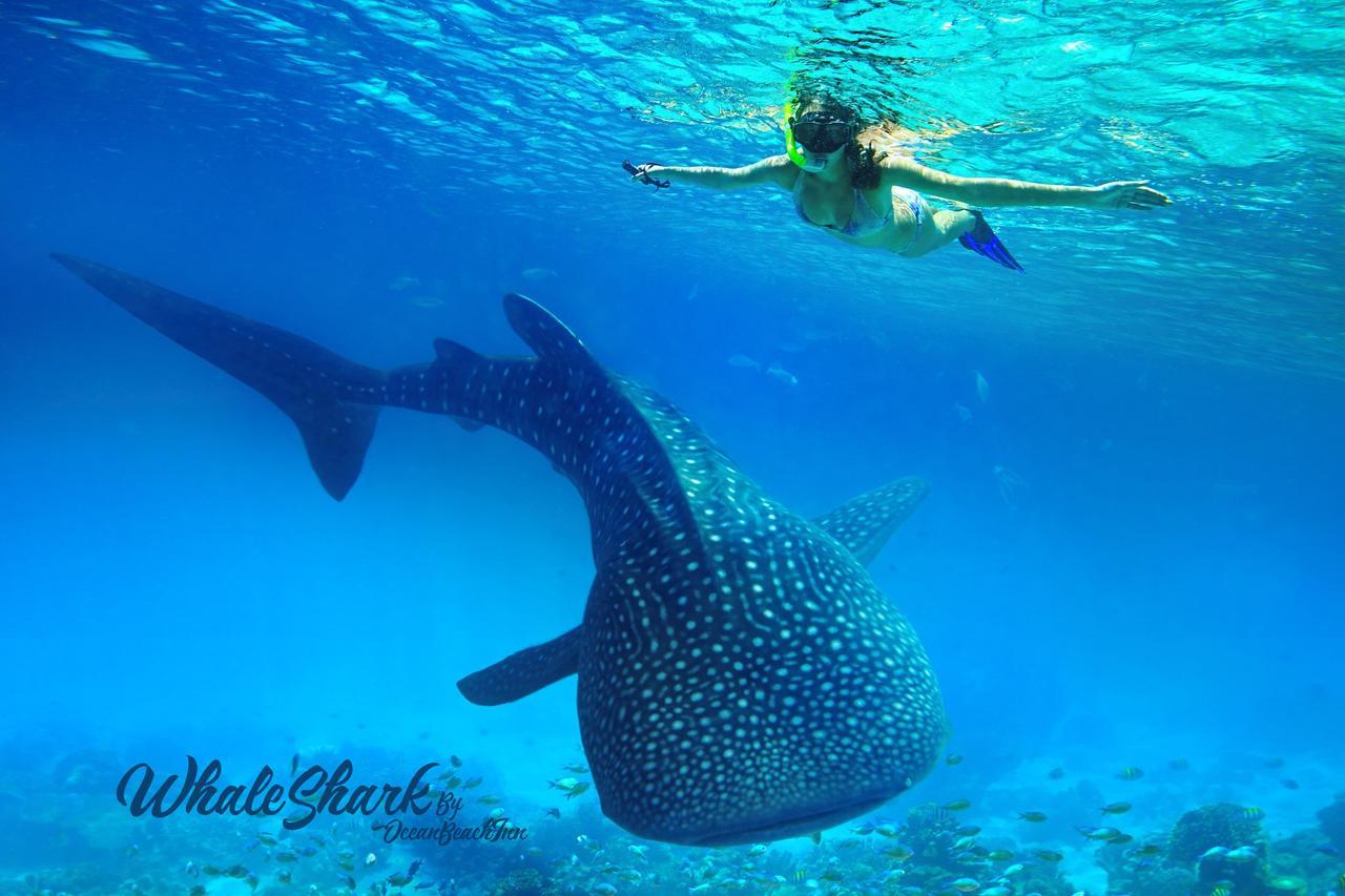 Ocean Beach Maldive Hotel Maldives Luaran gambar